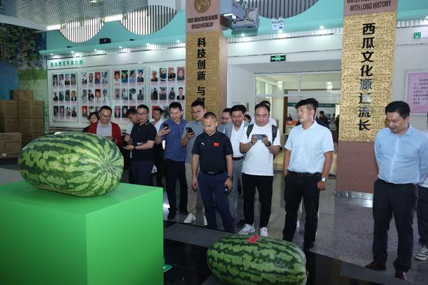 庞各庄镇 2025 年西瓜季政企联动产业推介活动圆满举行澳门新葡京入口“瓜香引凤聚商机 政企联动促发展”北京大兴(图3)